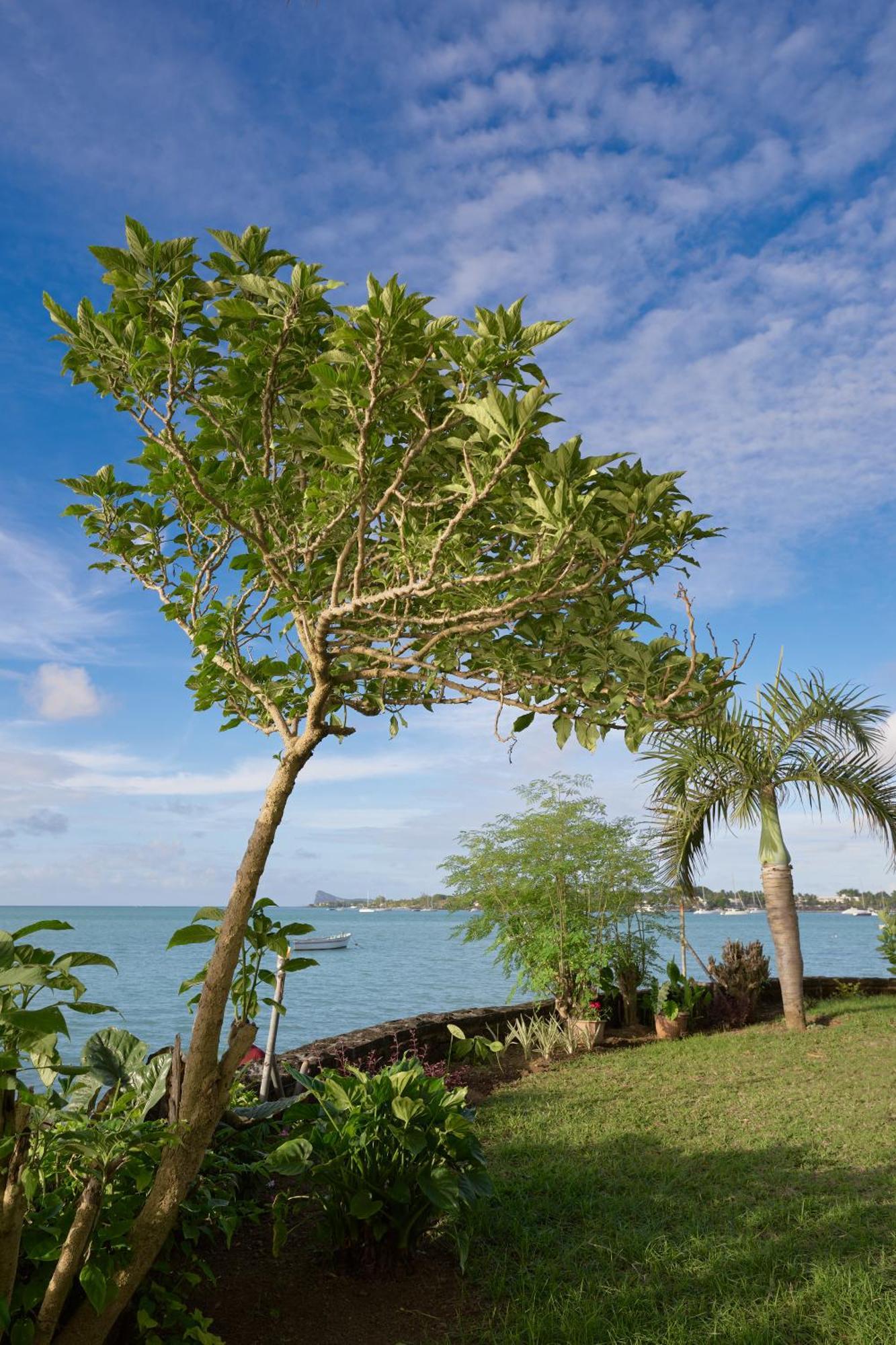 Lagoon View Residence Grand Baie Exterior photo